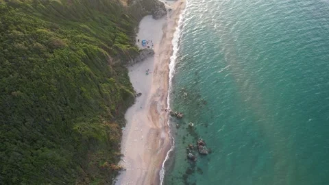 Tropical beach and forest Stock Footage 209659894