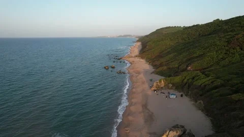 Tropical beach and forest Stock-Footage 225525103