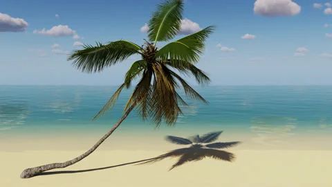 Tropical beach and palm tree over the sea. Stock-Footage 237528115