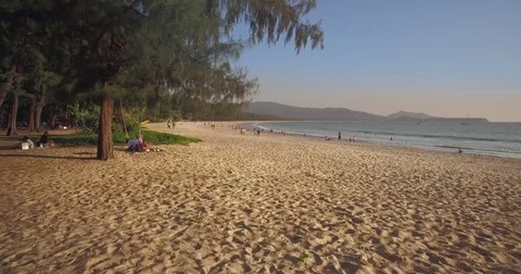 Tropical Beach And Pine Trees At Layan, Phuket, Thailand, Aerial Push Through Stock Footage 79333945