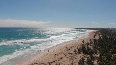 Tropical Beach and Waves Drone 库存影片 89074313