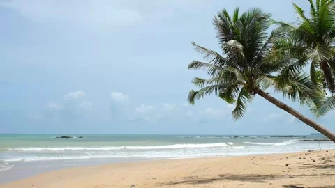 Tropical Beach Background with Palm and Copy Space Vídeos de archivo 337969574