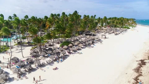 Tropical beach background with palm trees, turquoise water and white sand. Stock Footage 231202814