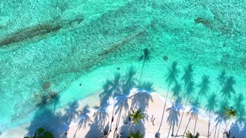 Tropical beach with blue background Stock Footage 240397139