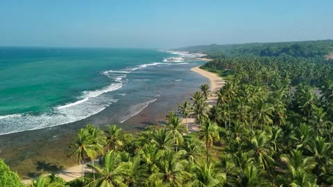 Tropical beach bordered by dense coconut trees for eco travel and nature Video stock 341375307