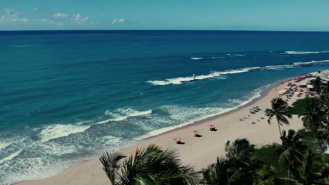 Tropical Beach in Brazil Stock Footage 307316456