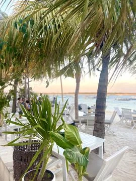 Tropical beach cafe setting under palm trees with seaside scenery Foto stock