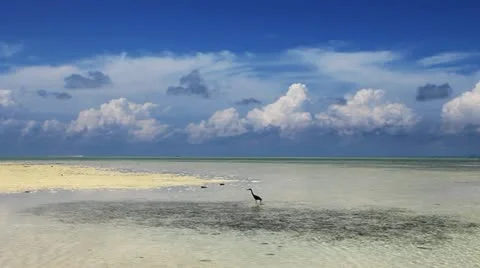 Tropical beach celear sea Stock Footage 11430744