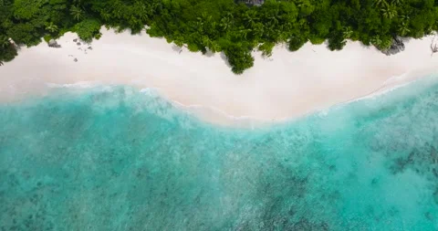 Tropical beach with clear blue waters. Seychelles, Mahe. Stock Footage 301788694