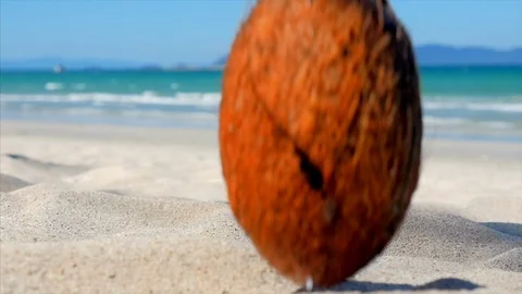 On a Tropical Beach Close-Up a Coconut, Under the Hot Summer Sun, it is Divided Stock Footage 108008121