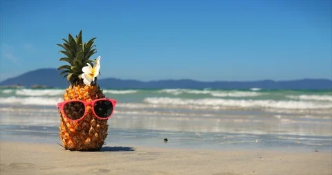 On a Tropical Beach Close-Up of Fruit in Sunglasses Under the Hot Summer Sun Stock Footage 112096783
