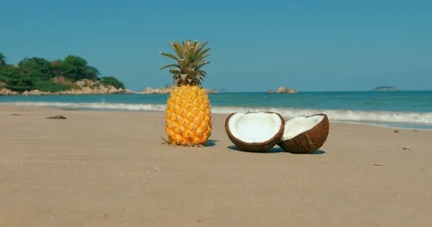 On a Tropical Beach Close-Up Under the Hot Summer Sun Along the Tropical Exotic Stock Footage 106200675