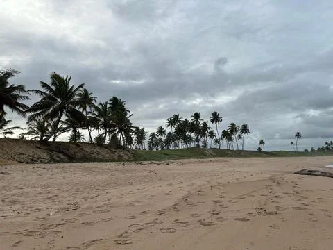 Tropical beach with cloudy sky Stock Photos