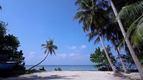 Tropical beach with coconut palm Stock Footage