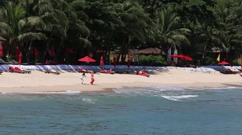 Tropical beach, coconut palm tree and sea water wave. Island Phangan, Thailand Stock Footage 57300296