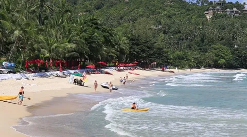 Tropical beach, coconut palm tree and sea water wave. Island Phangan, Thailand Stock Footage 57300490