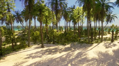 Tropical beach with coconut palm tree Stock Footage 229654763