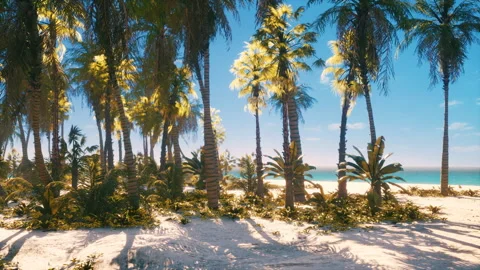 Tropical beach with coconut palm tree Stock Footage 236332215