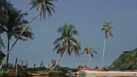 Tropical beach with coconut palm tree on nature background Stock Footage 292940815