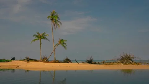 Tropical beach with coconut palm tree on nature background Stock Footage 292940865