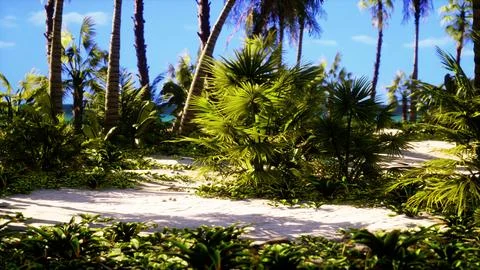 Tropical beach with coconut palm tree Illustration