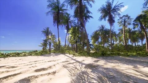 Tropical beach with coconut palm tree Illustration