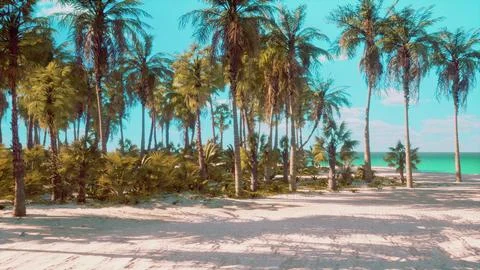 Tropical beach with coconut palm tree 库存插图