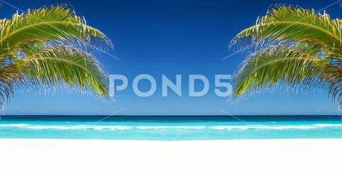 Tropical beach with coconut palm tree leafs, turquoise sea water and white sa Stock-Fotos
