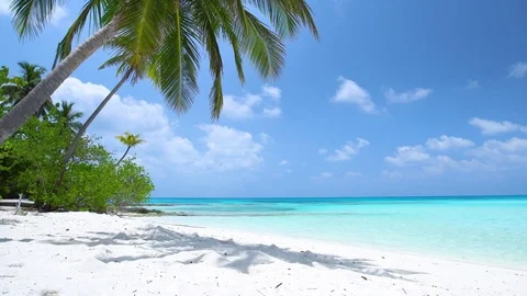 Tropical beach with coconut palm trees | Stock Video | Pond5