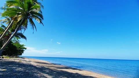 Tropical beach with coconut palm trees and clear blue ocean under sunny sky Stock Footage 333309271