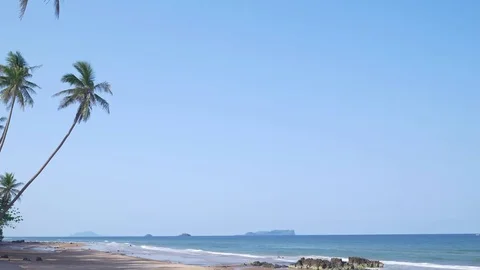 Tropical beach with coconut palms trees Stock Footage 69715872