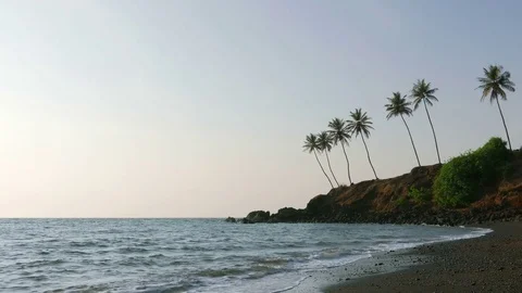 Tropical beach with coconut palms trees Stock-Footage 82372023