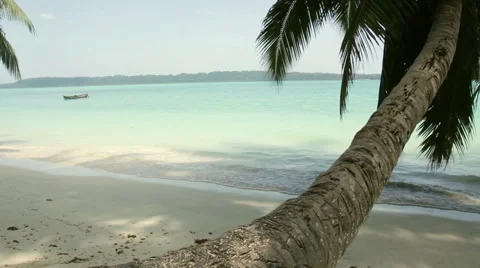 Tropical beach with coconut tree and a boat Stock Footage 47227752