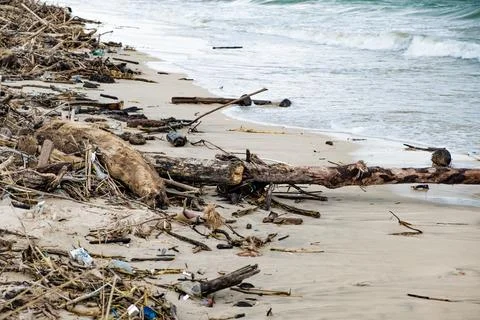 Tropical beach completely covered with garbage and waste. Ecological disaster Stock Photos