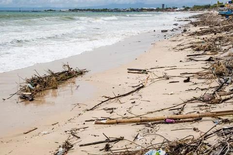 Tropical beach completely covered with garbage and waste. Ecological disaster Stock Photos