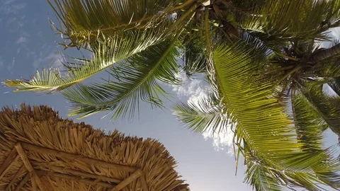 Tropical beach concept timelapse Video stock 79676576