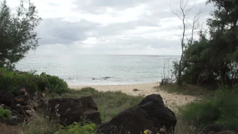 Tropical Beach Daytime Stock Footage 165302839