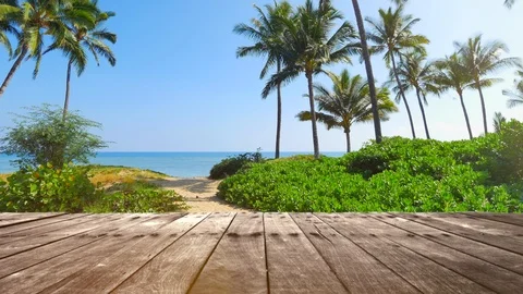 Tropical Beach Deck Background Sea Palm Trees Paradise Blue Sky and Sand Horizon Stock Footage 91840420