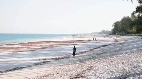 The tropical beach of Diani beach on the Indian ocean Stock Footage 99854044