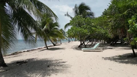 Tropical Beach Drone Shot Between Trees Along Shoreline in Belize Stock Footage 301234916