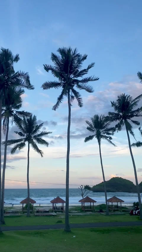 Tropical Beach at Dusk with Palm Trees and Ocean View⁷ Vídeo Stock 334459160