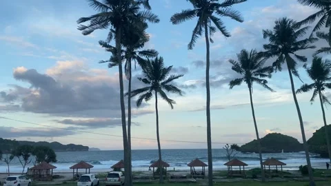 Tropical Beach at Dusk with Palm Trees and Ocean View Stock Footage 334459902