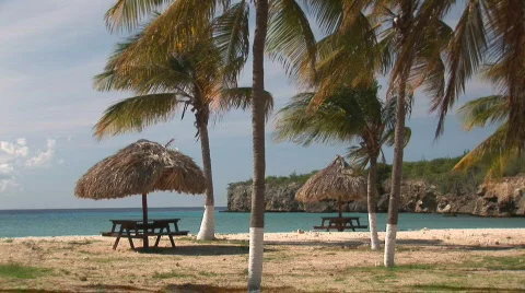 Tropical beach Video stock 93139