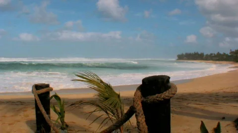 Tropical beach Stock Footage 146039