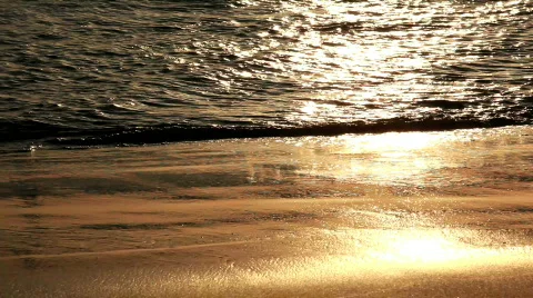 Tropical beach 스톡 동영상 693082