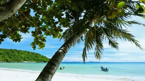 Tropical beach Video stock 10997774