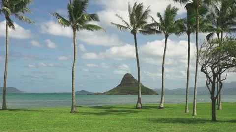 Tropical beach Stock Footage 11221177