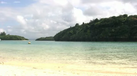 Tropical Beach Видео 12591972