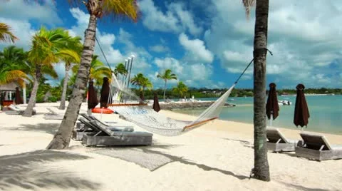 Tropical beach Stock Footage 20448426