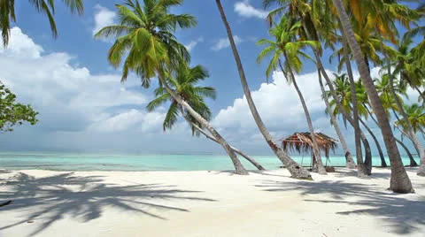 Tropical beach Stock Footage 26764300